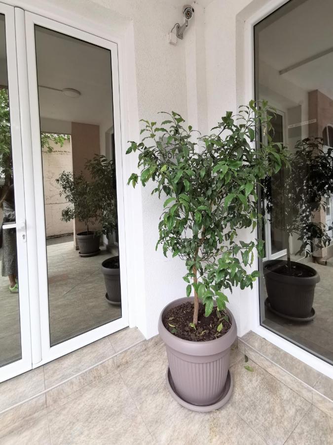 Garni Hotel S Coast Budva Exterior photo